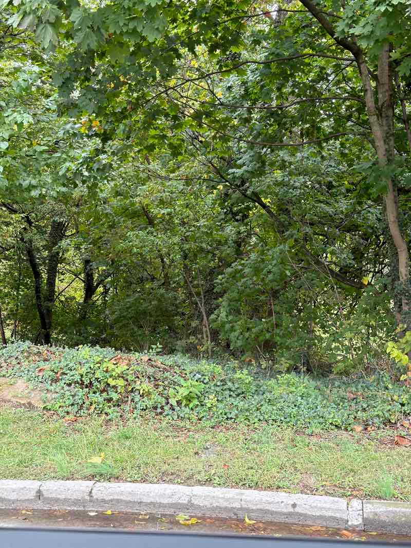 walking near me in Overlook in autumn