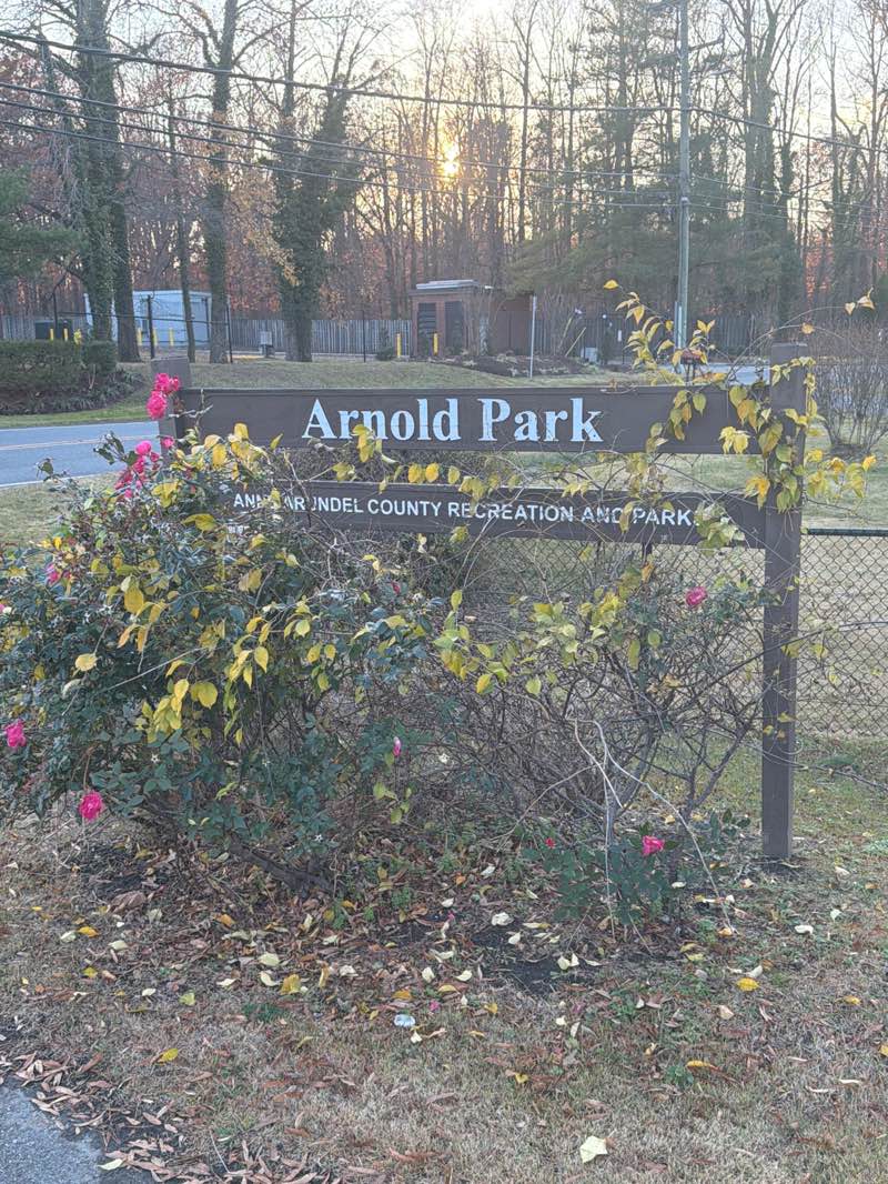 walking near me in Arnold Park in autumn