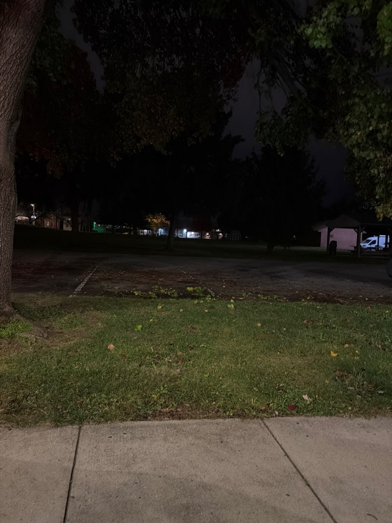 walking near me in Grove Park in autumn