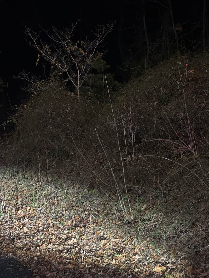 walking near me in Patuxent River Park II in winter