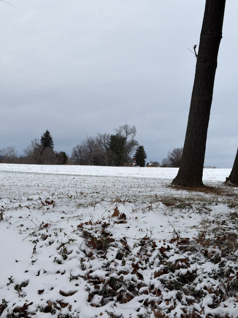 walking near me in Temple Hall Farm Regional Park in winter