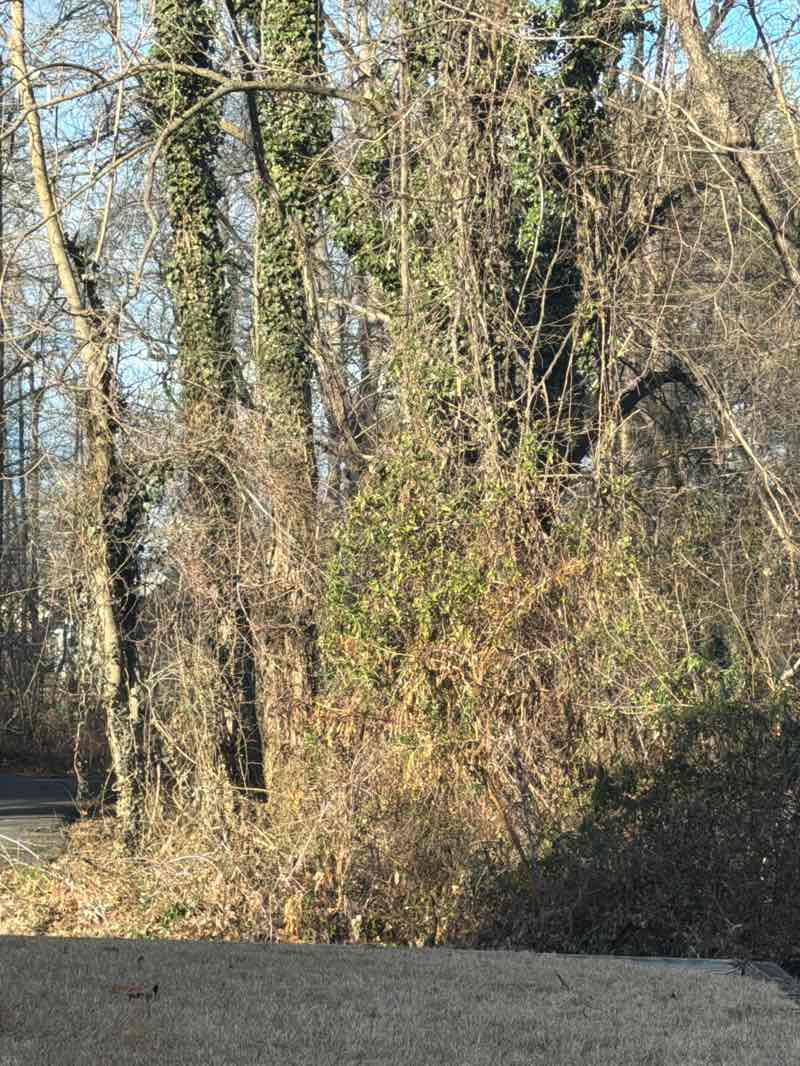 walking near me in Washington & Old Dominion Trail Regional Park in winter