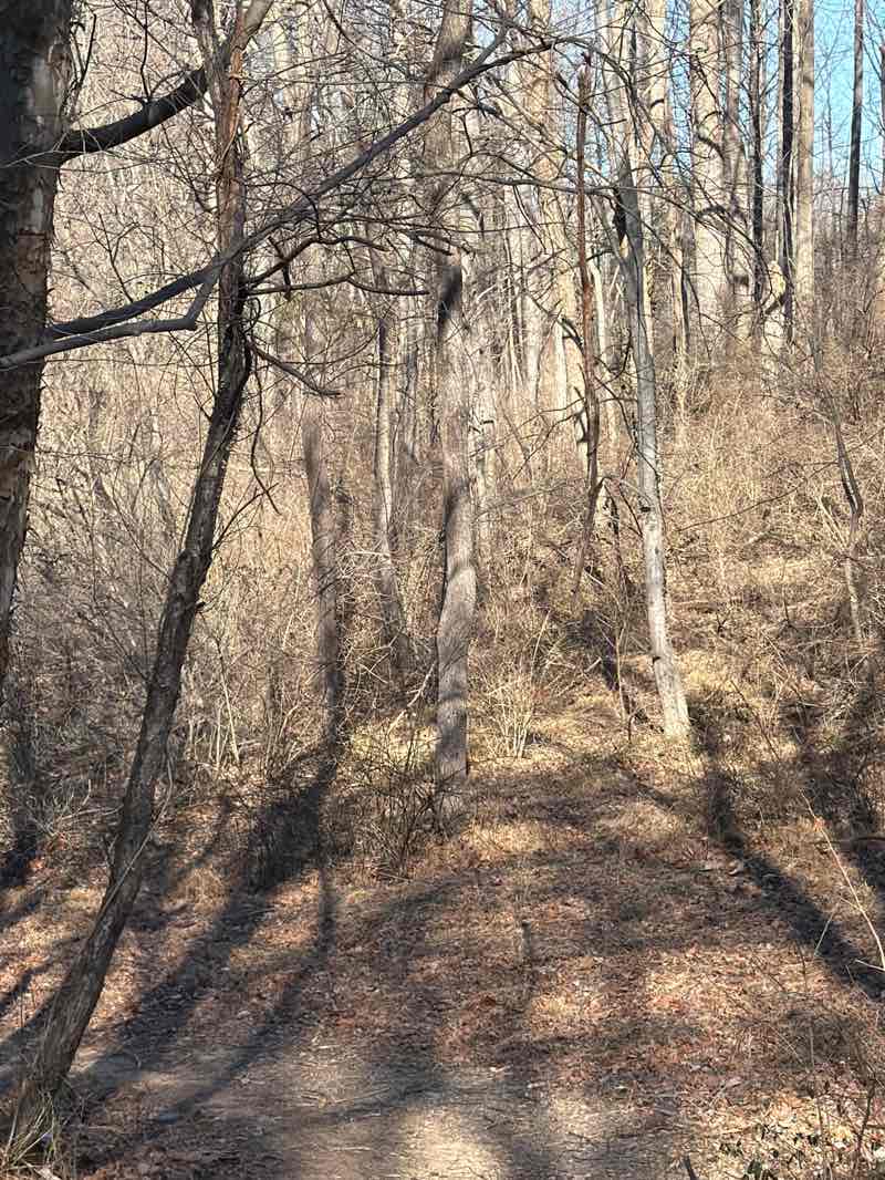 walking near me in Clarks Crossing Park in winter