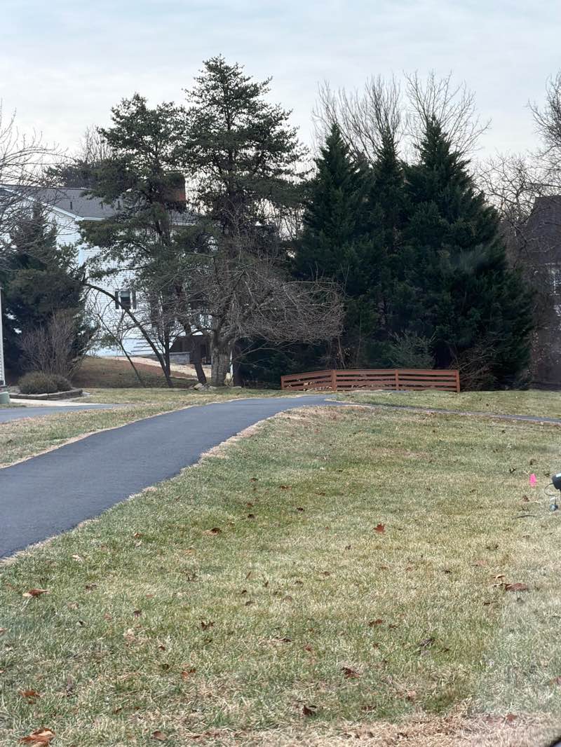 walking near me in Cabin Branch Park in winter