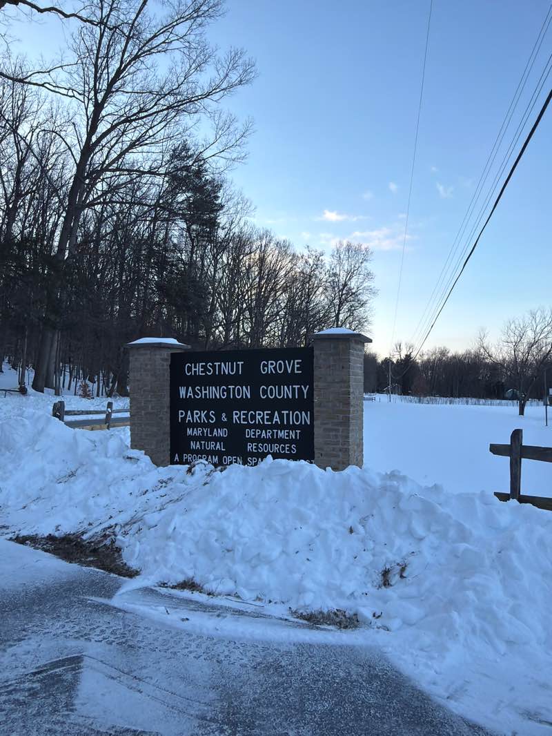 walking near me in Chestnut Grove Park in winter