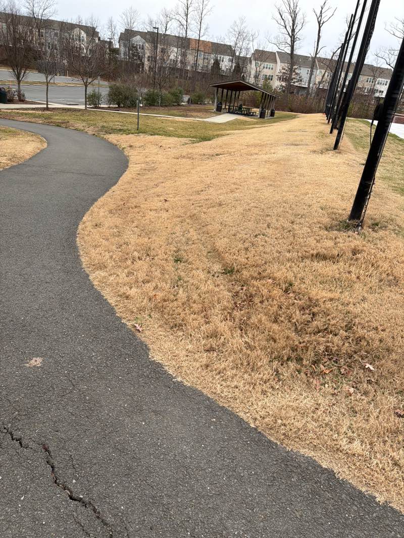 walking near me in Eastgate Park in winter