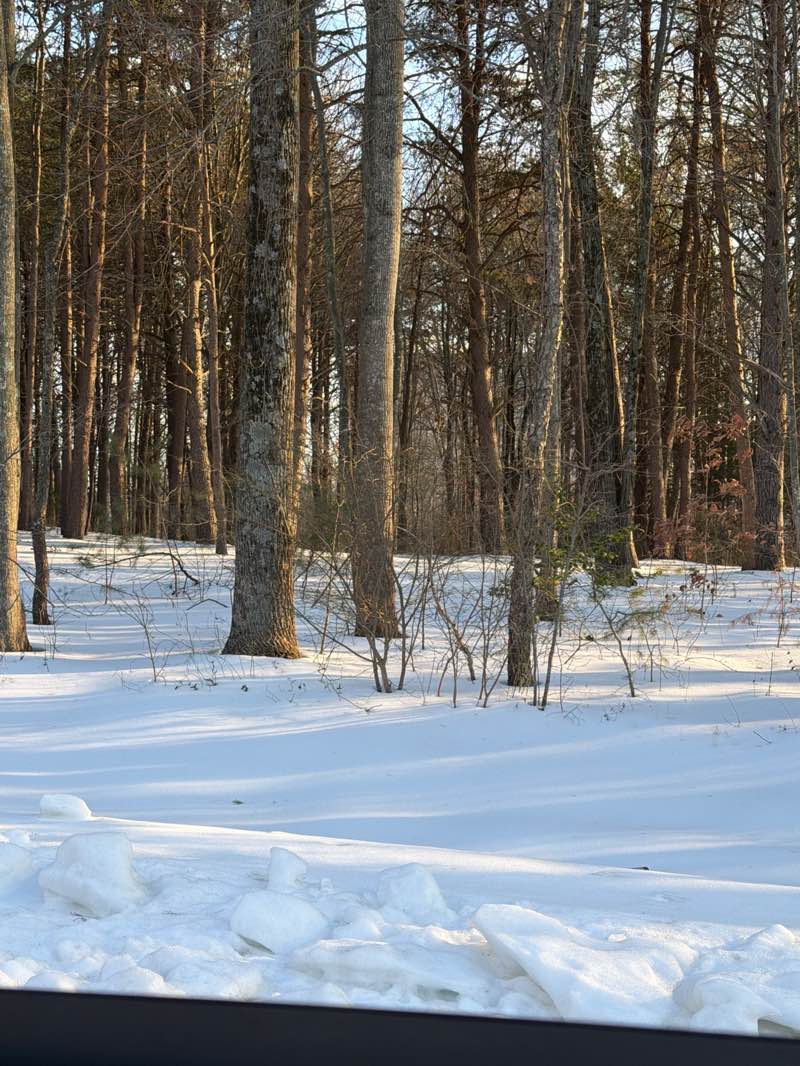 walking near me in Reston Town Green Park in winter