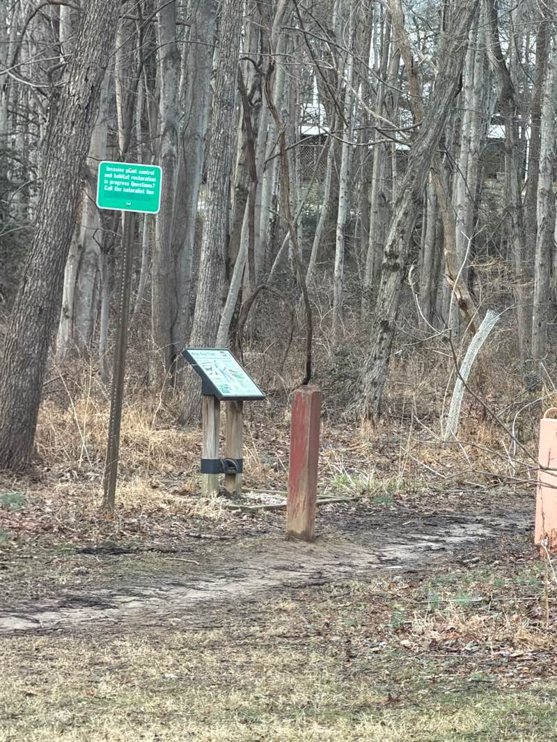 walking near me in Wayland Street Park in winter