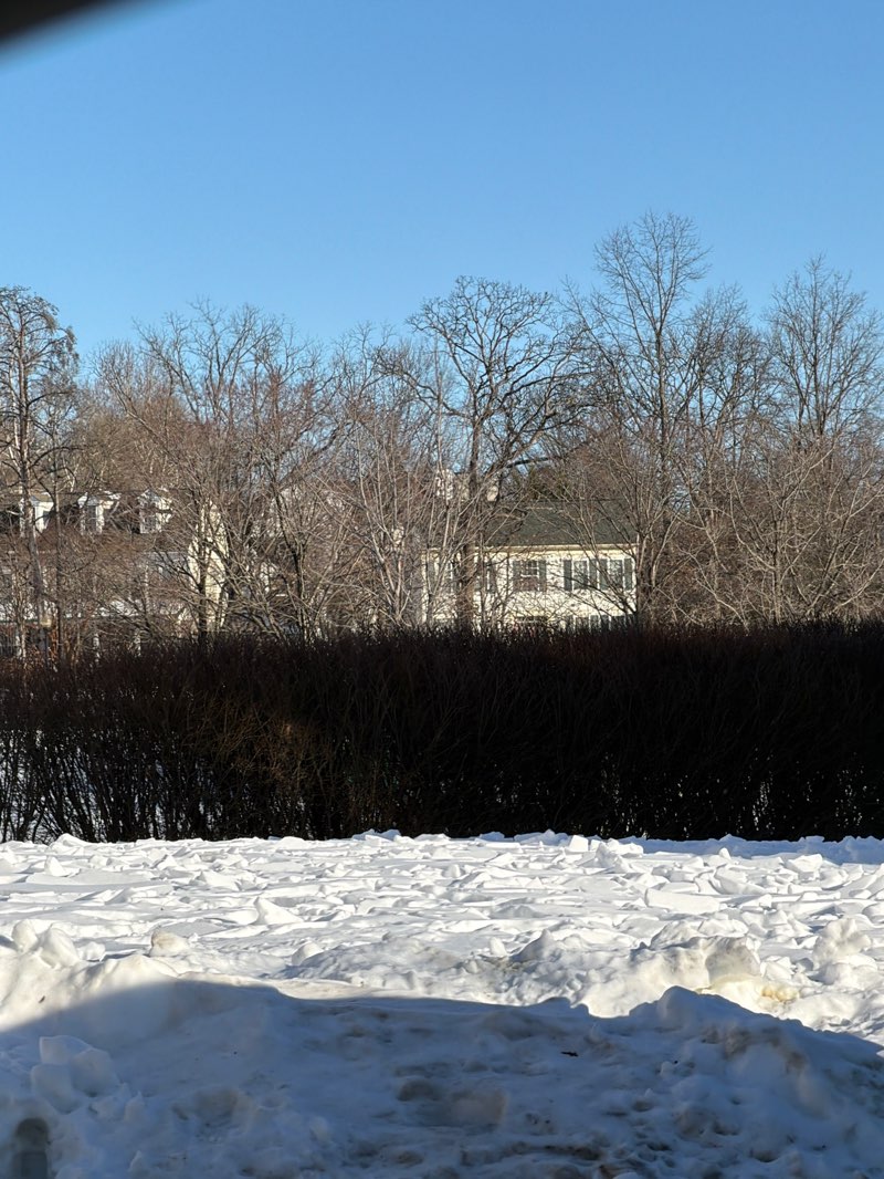 walking near me in Elk Lick Park in winter