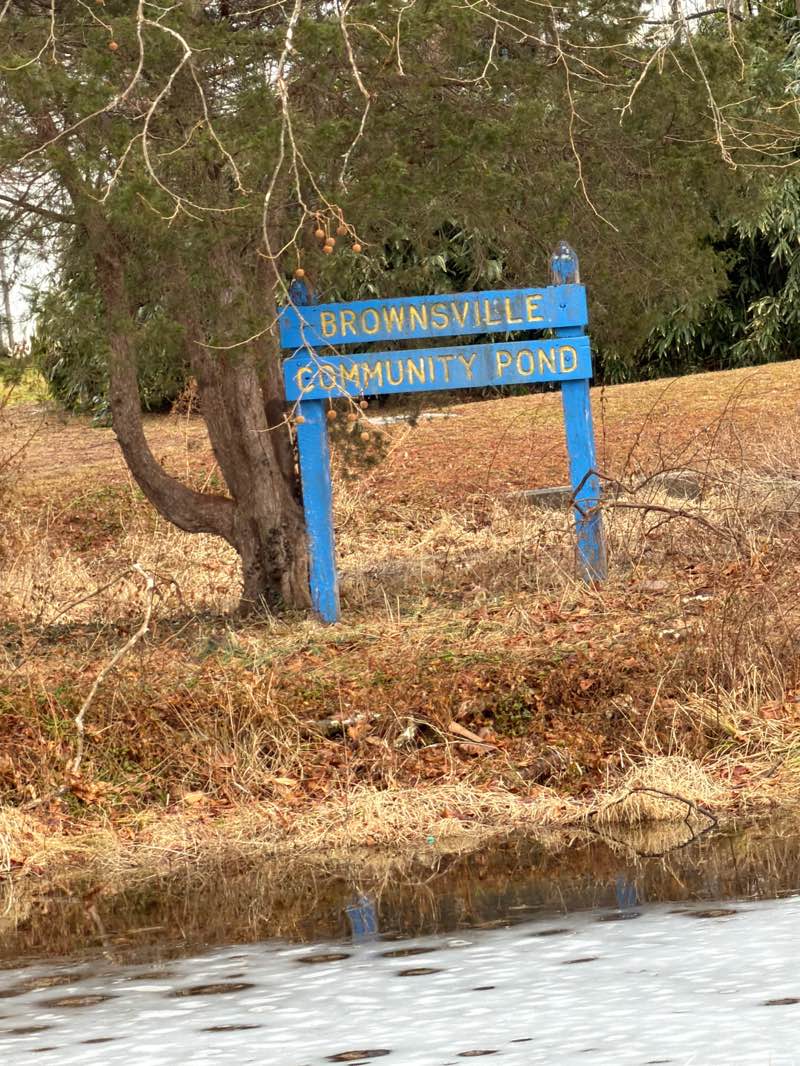 walking near me in Brownsville Pond Fish Management Area in winter