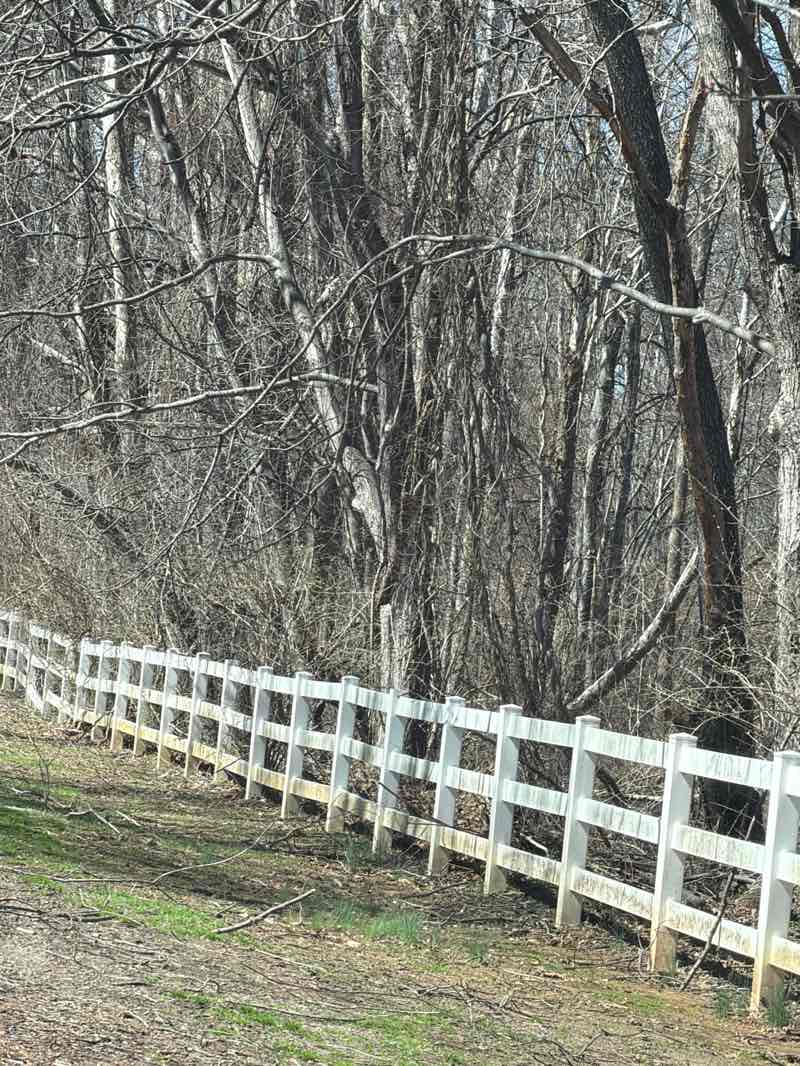 walking near me in Colvin Run Mill Park in spring