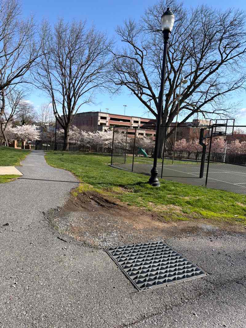 walking near me in Mullinix Park in spring