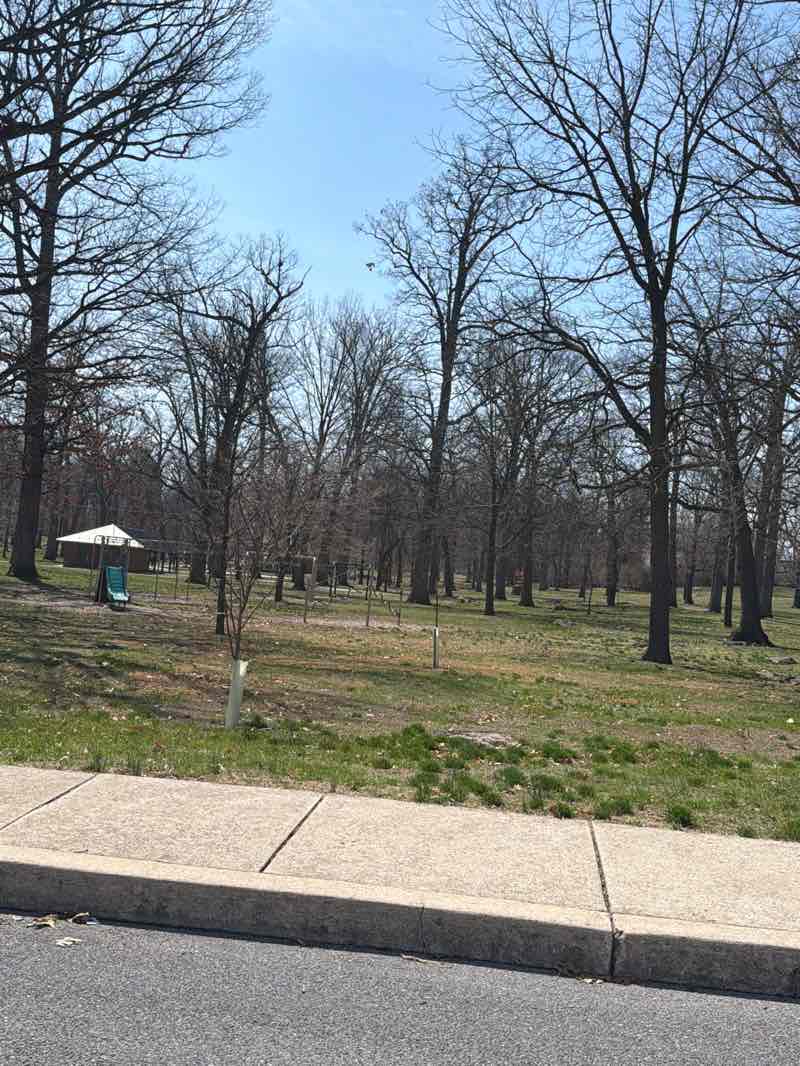 walking near me in Doubs Woods Park in spring