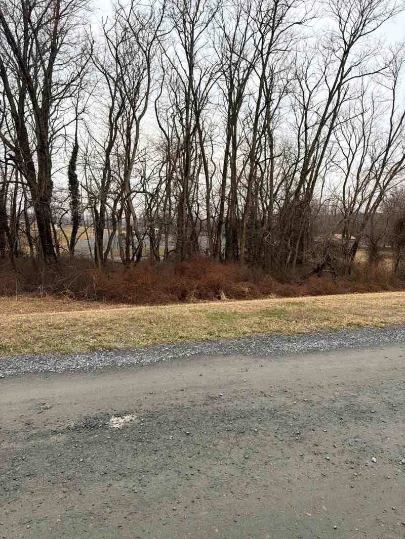 walking near me in Lovettsville Community Park in spring