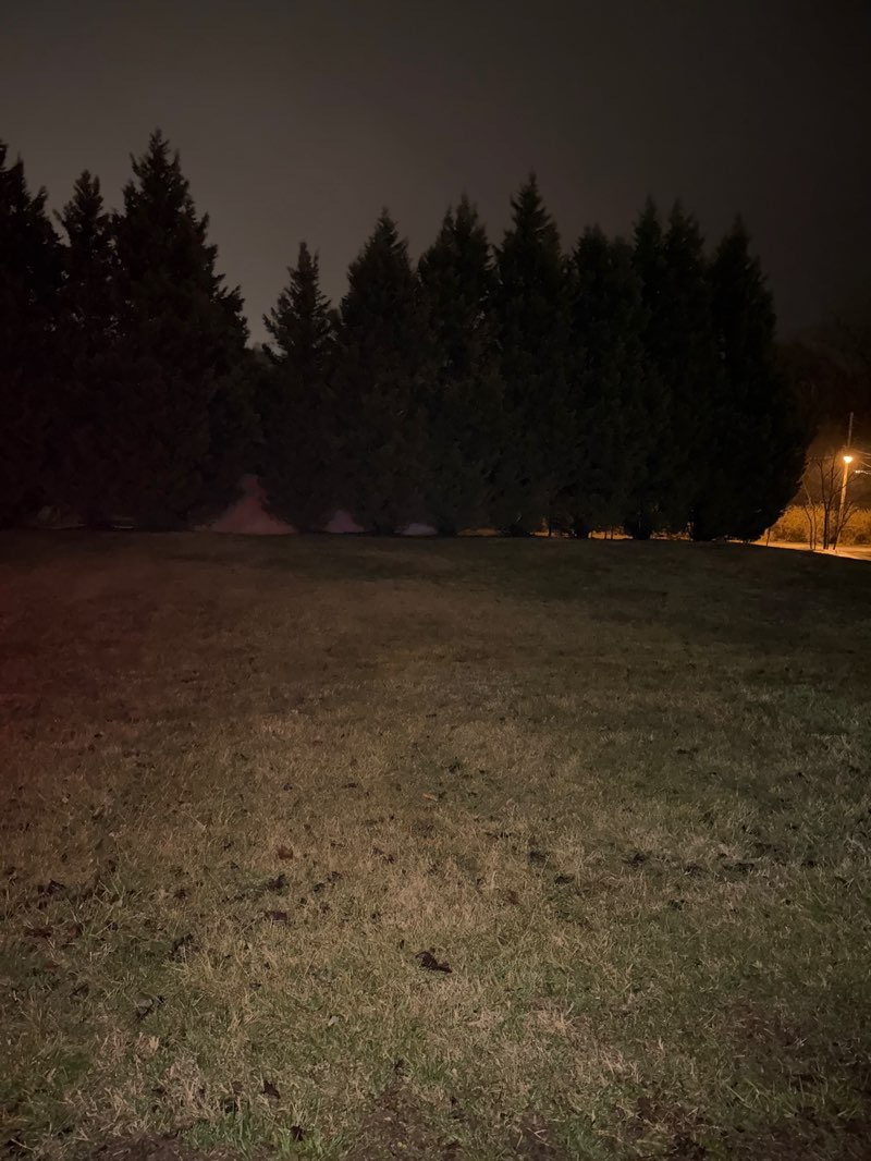 walking near me in Oak Street Park in spring