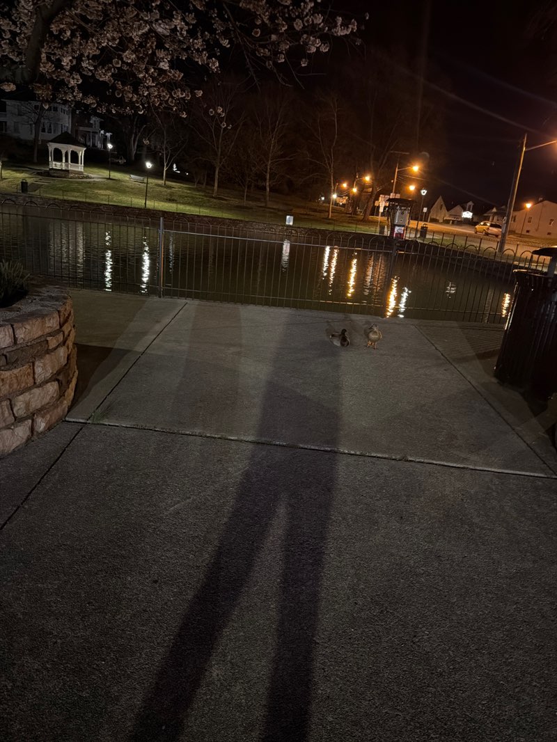 walking near me in Lake Sprint Park in spring