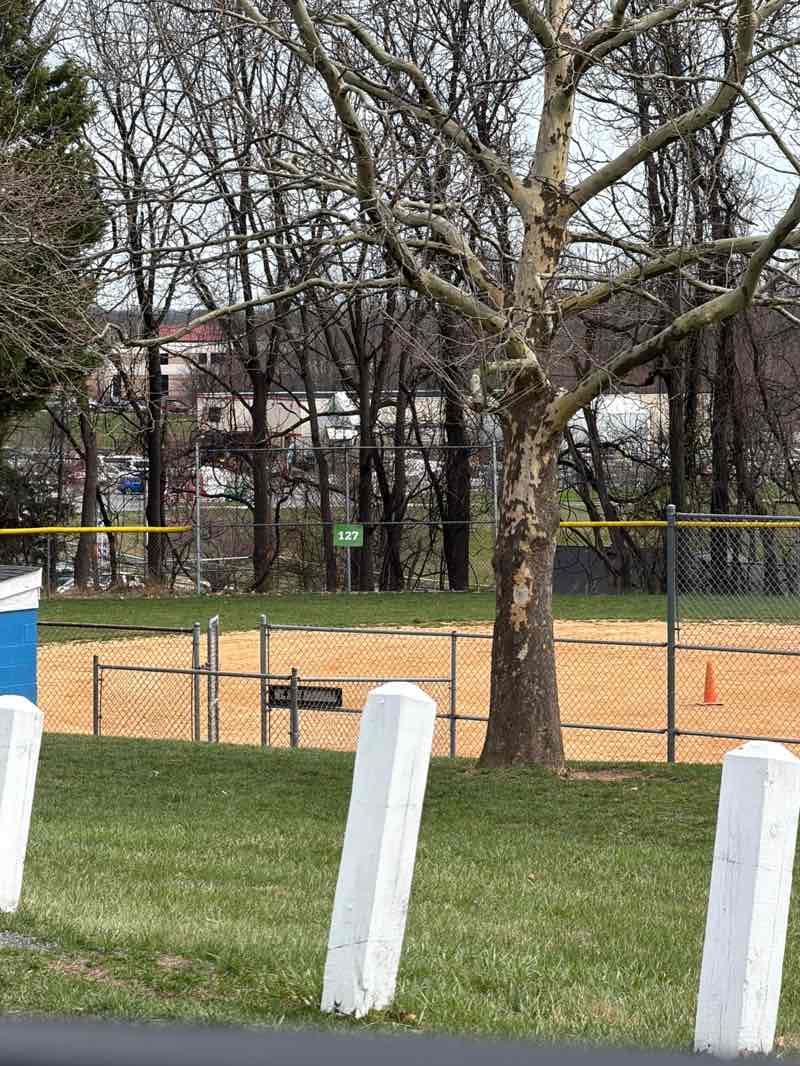 walking near me in Larry Twenty Memorial Park in spring
