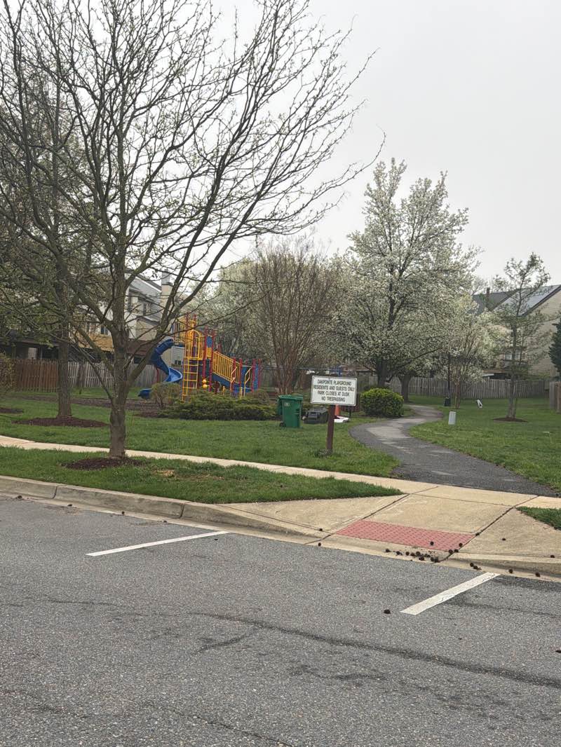 walking near me in Oakpointe Community Walking Trail in spring