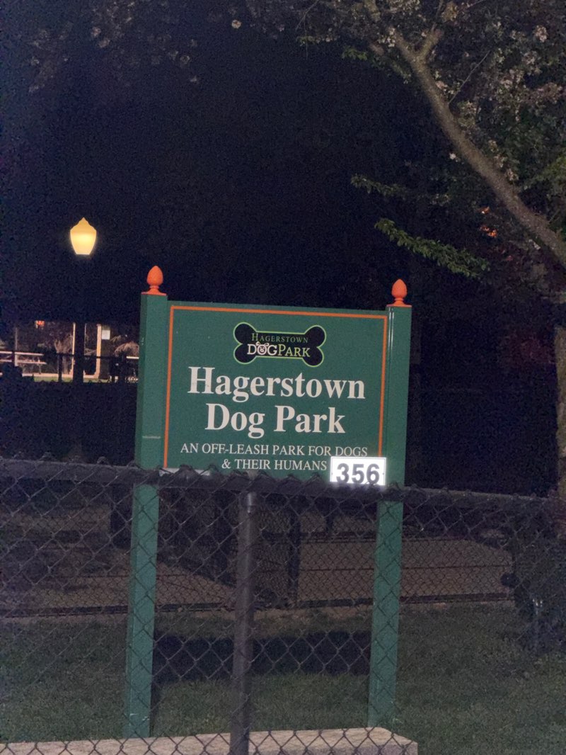 walking near me in Hagerstown Dog Park in spring