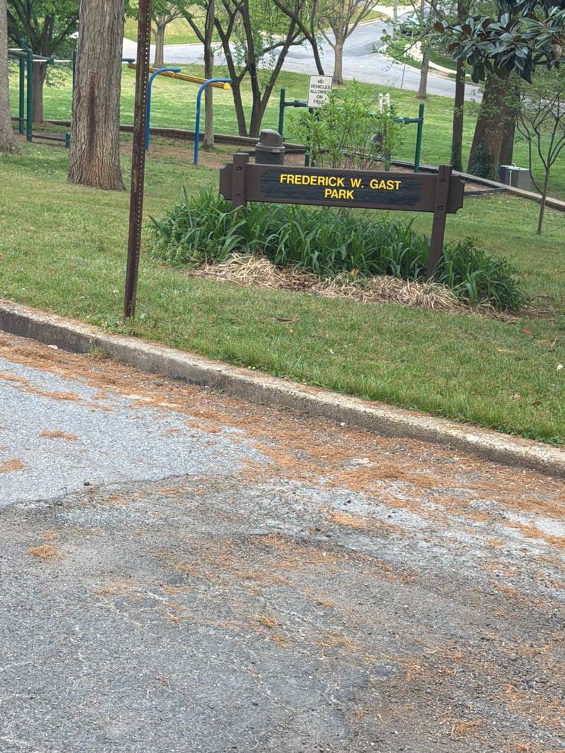 walking near me in Gast Park in spring