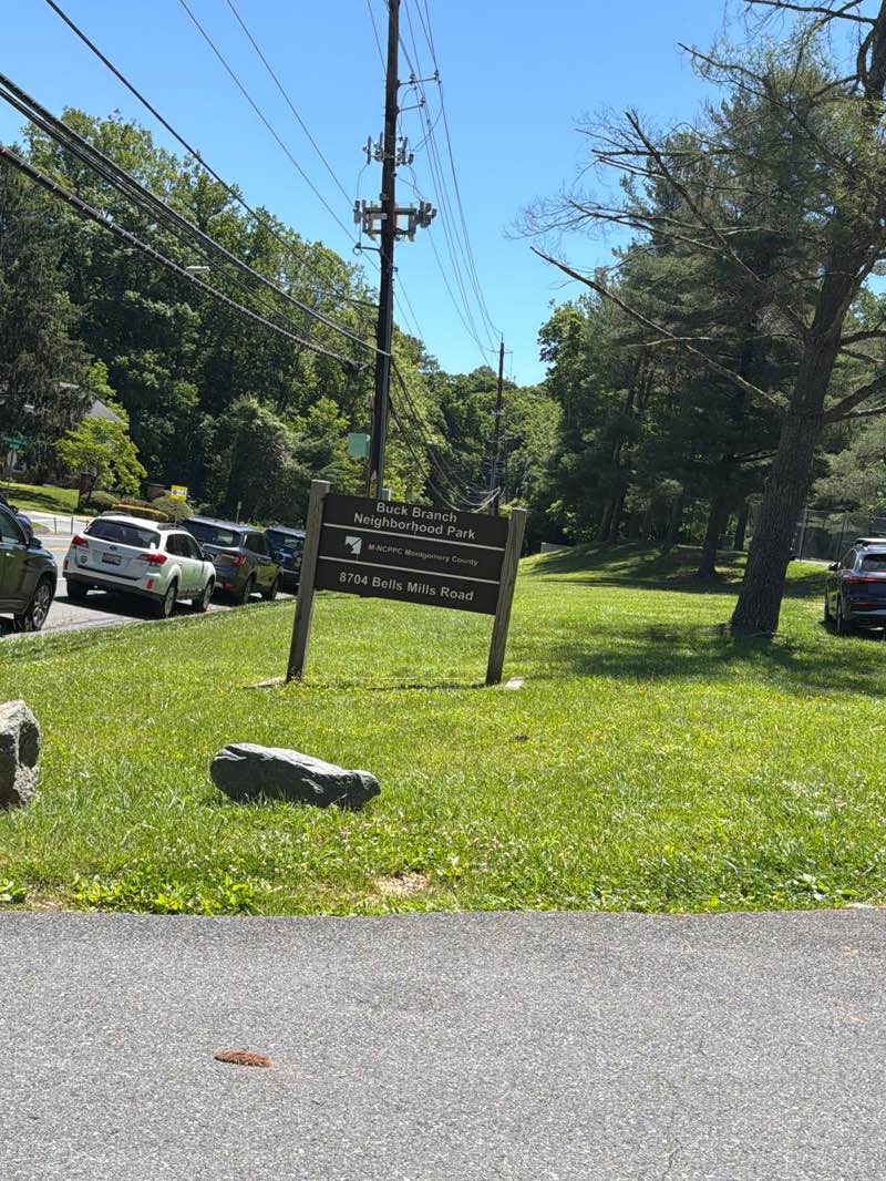 walking near me in Buck Branch Neighborhood Park in summer