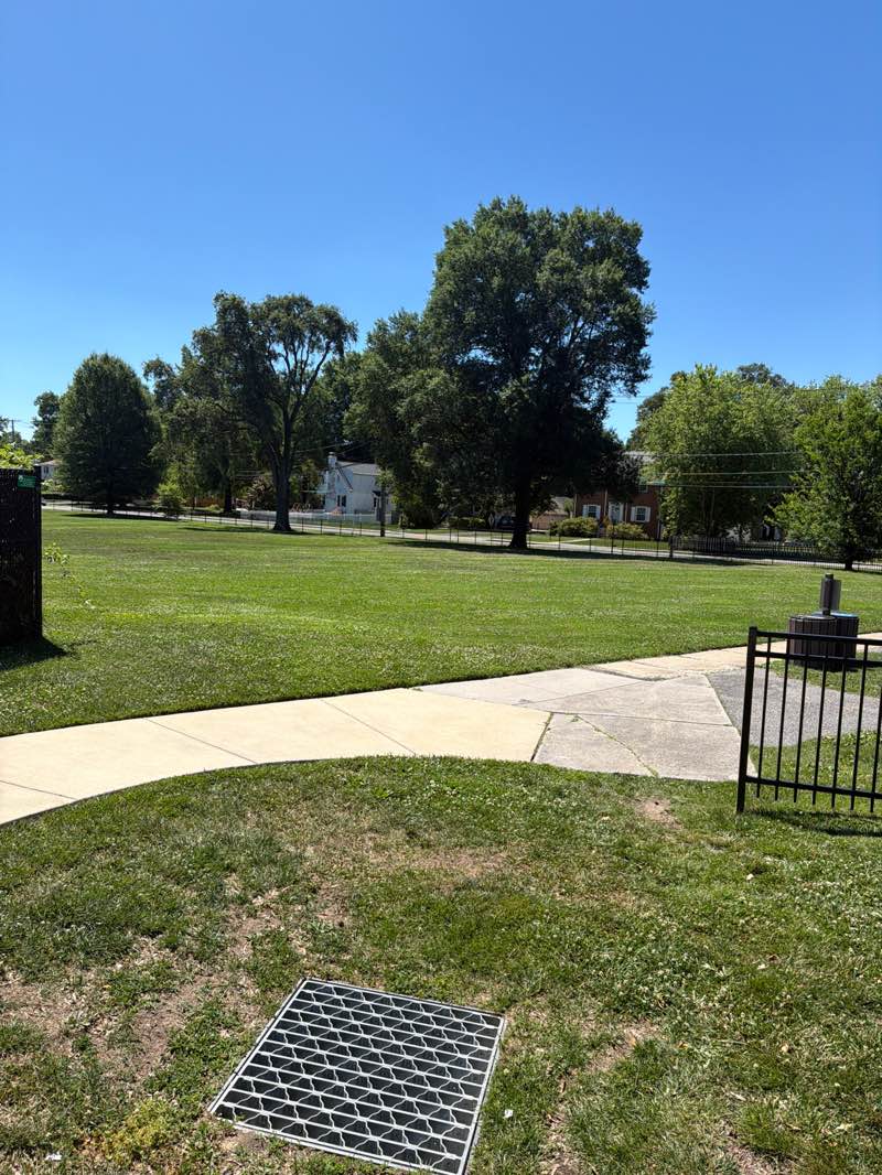 walking near me in Calvert Hills Playground & Athletic Field in summer