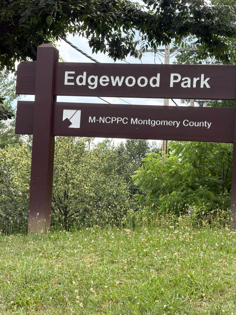 walking near me in Edgewood Neighborhood Park in summer