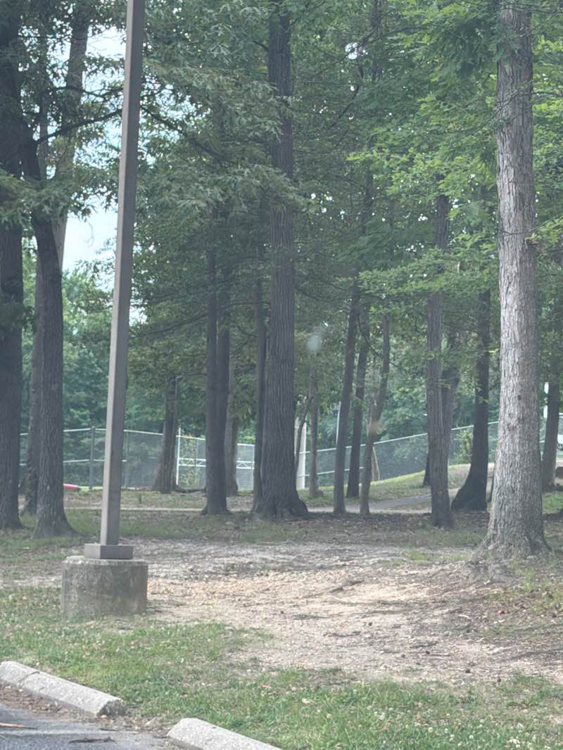 walking near me in Beltsville Community Center in summer