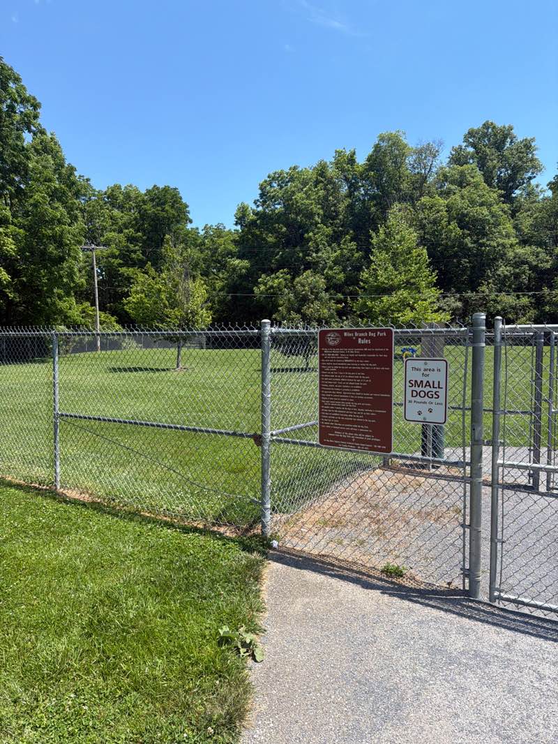 walking near me in Wiles Branch Dog Park in summer