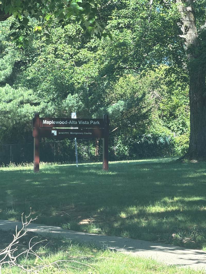 walking near me in Maplewood-Alta Vista Local Park in summer