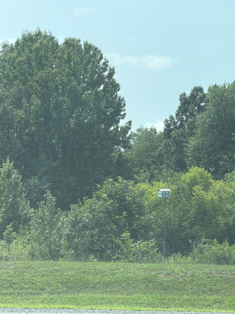 walking near me in Washington & Old Dominion Trail Regional Park in summer