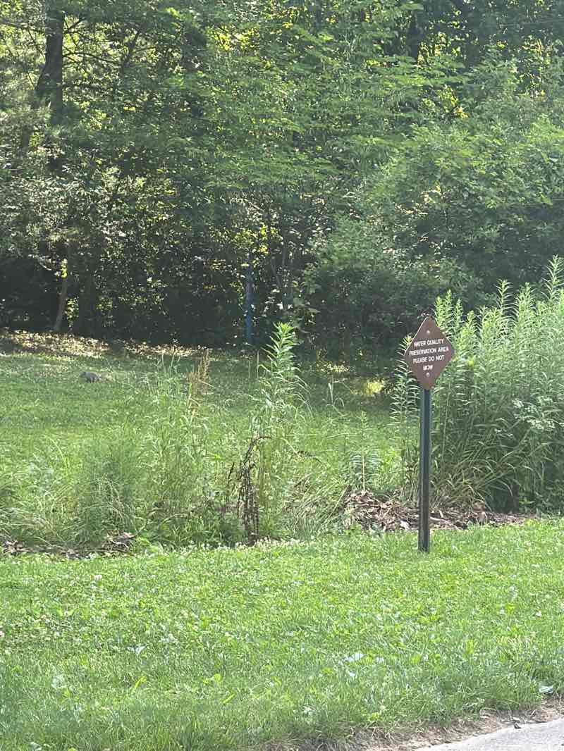 walking near me in Pathfinder Park in summer