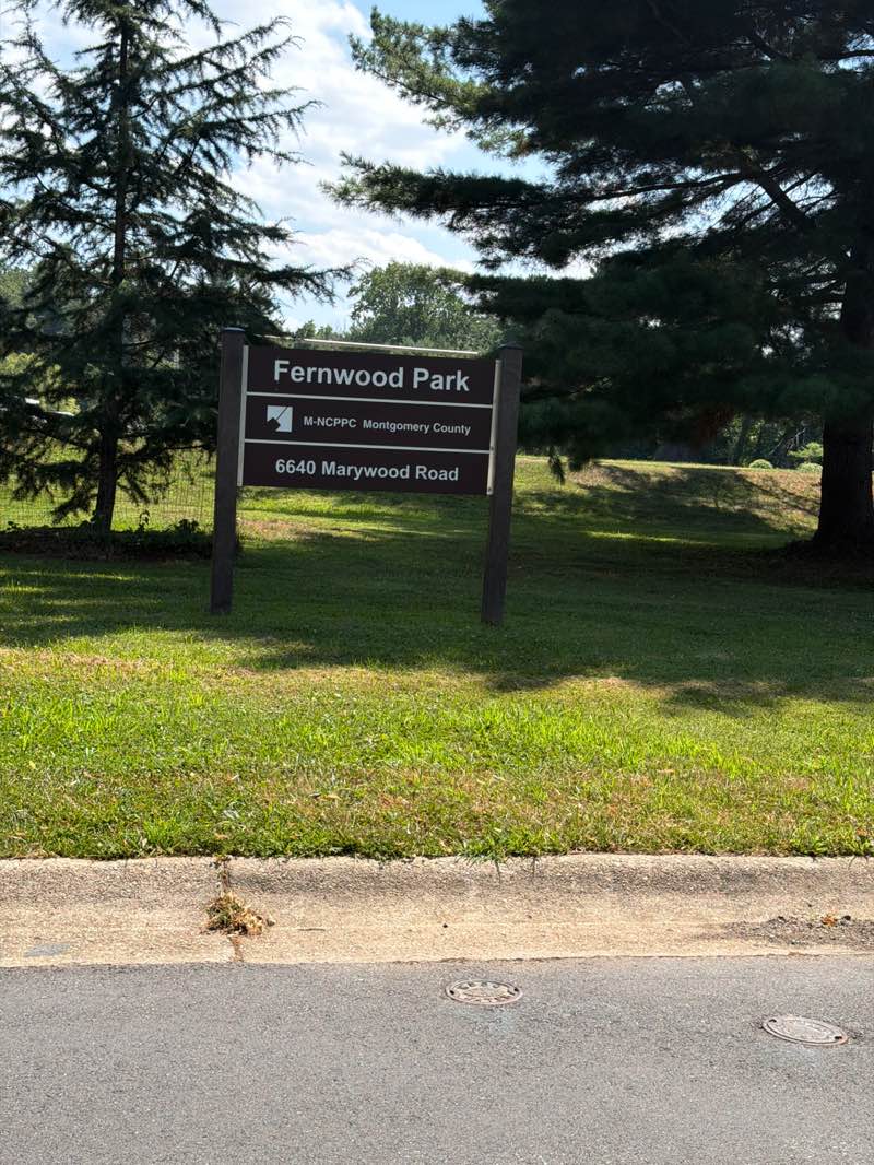 walking near me in Fernwood Local Park in summer