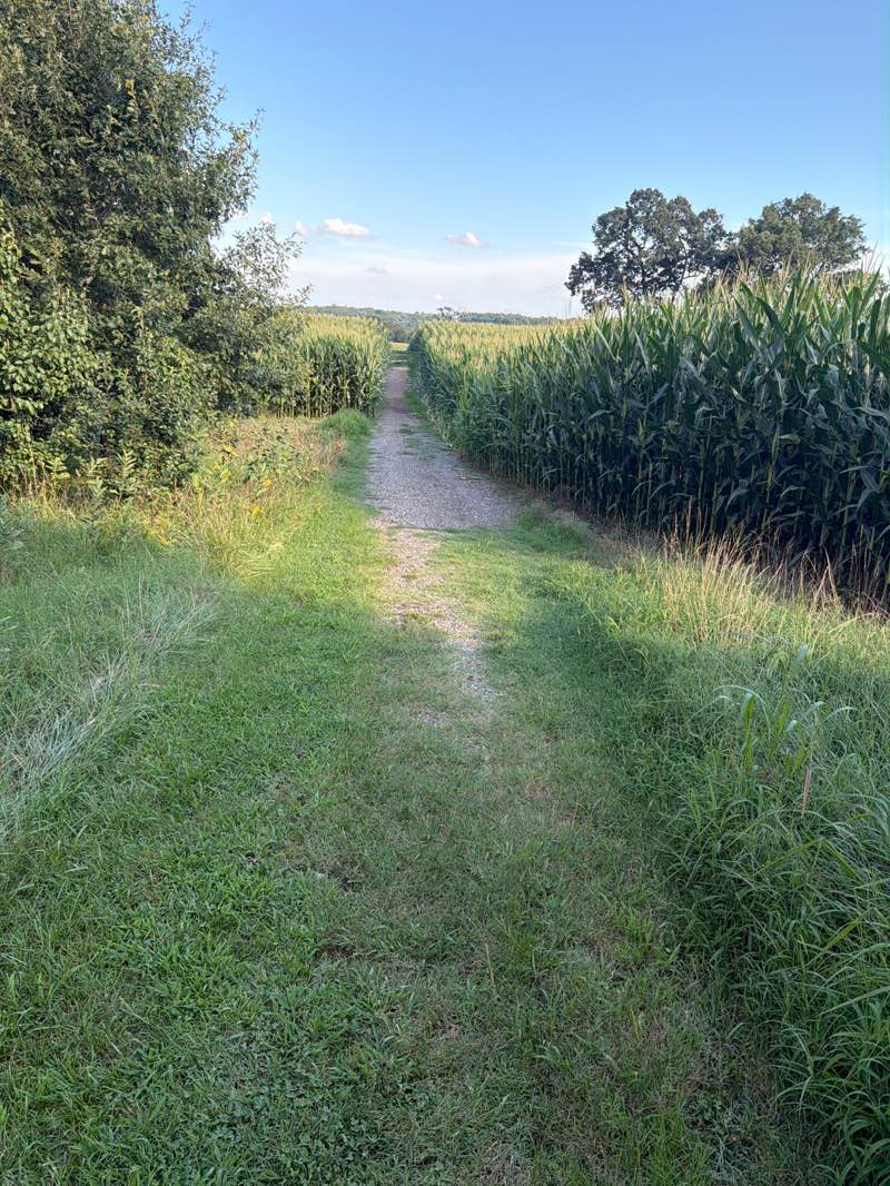 walking near me in First Day of Chancellorsville Site in summer