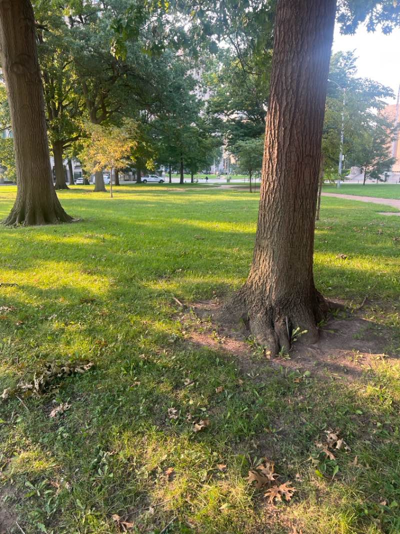 walking near me in Aloe Plaza in summer
