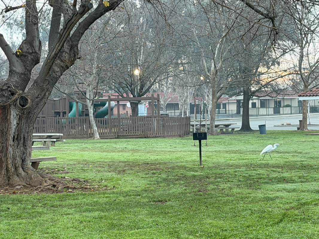walking near me in Mc Bean Memorial Park in winter