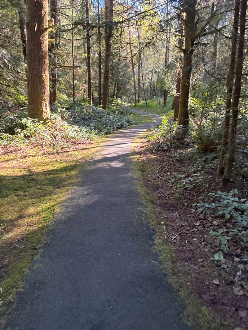 walking near me in Makarenko Park in autumn