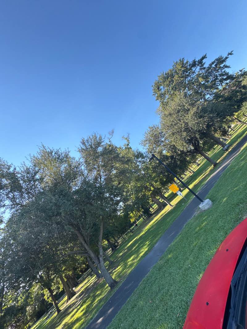 walking near me in La Salle Park in autumn