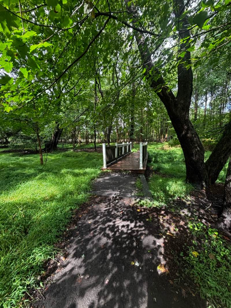 walking near me in Joe Palaia Park in autumn