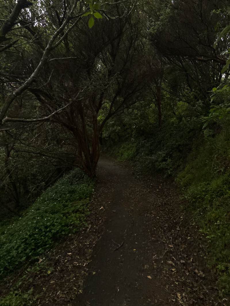 walking near me in Lakewood Reserve in spring