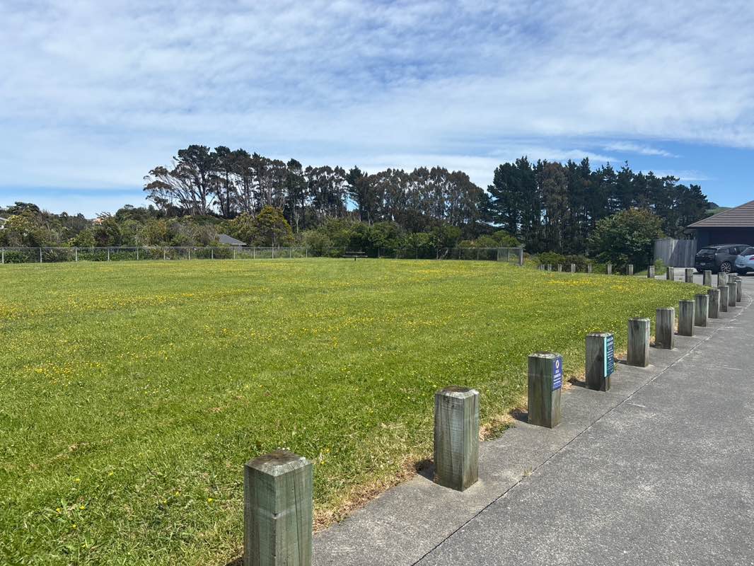 walking near me in Lime Grove Park in spring
