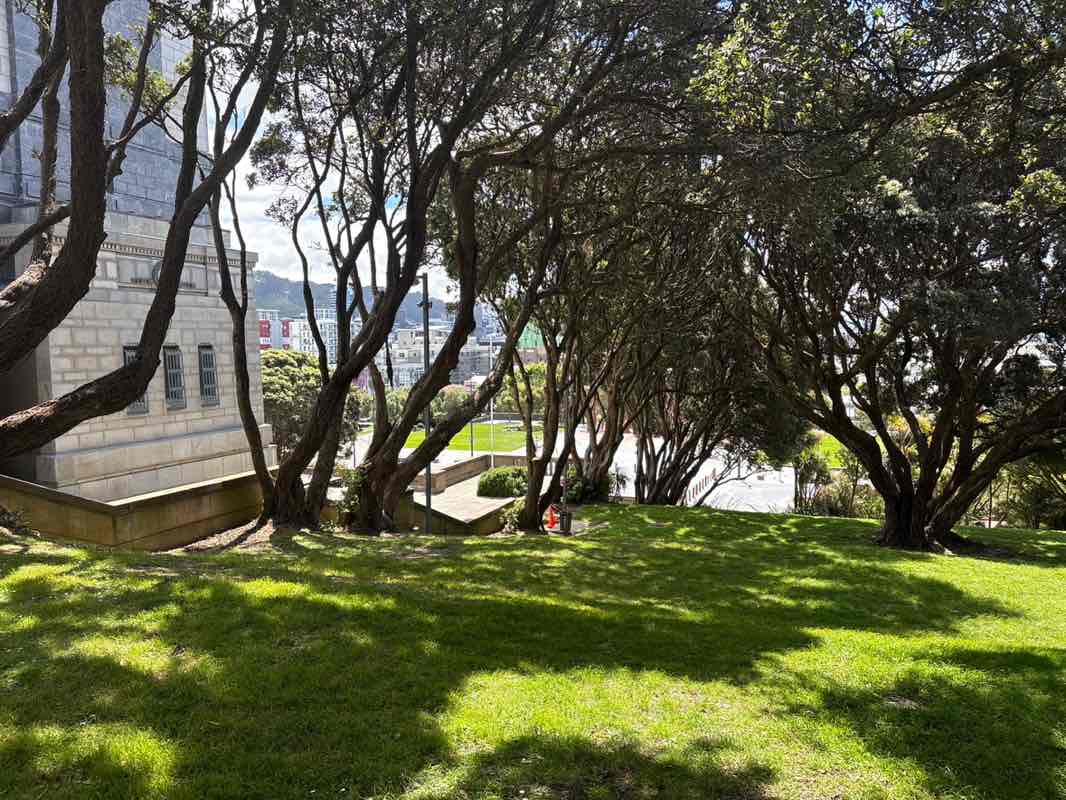 walking near me in Pukeahu National War Memorial Park in spring