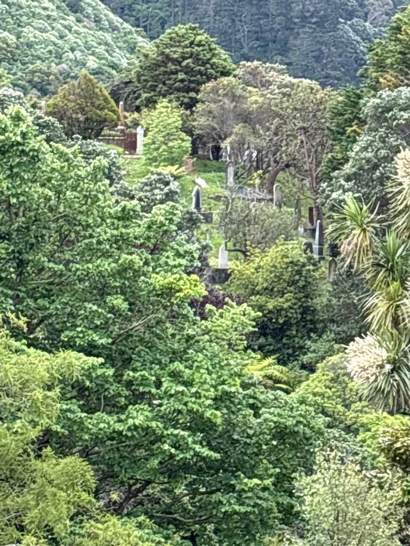 walking near me in Bolton Street Memorial Park in spring