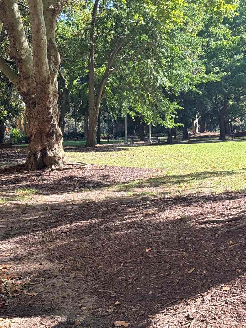 walking near me in Hyde Park South in summer