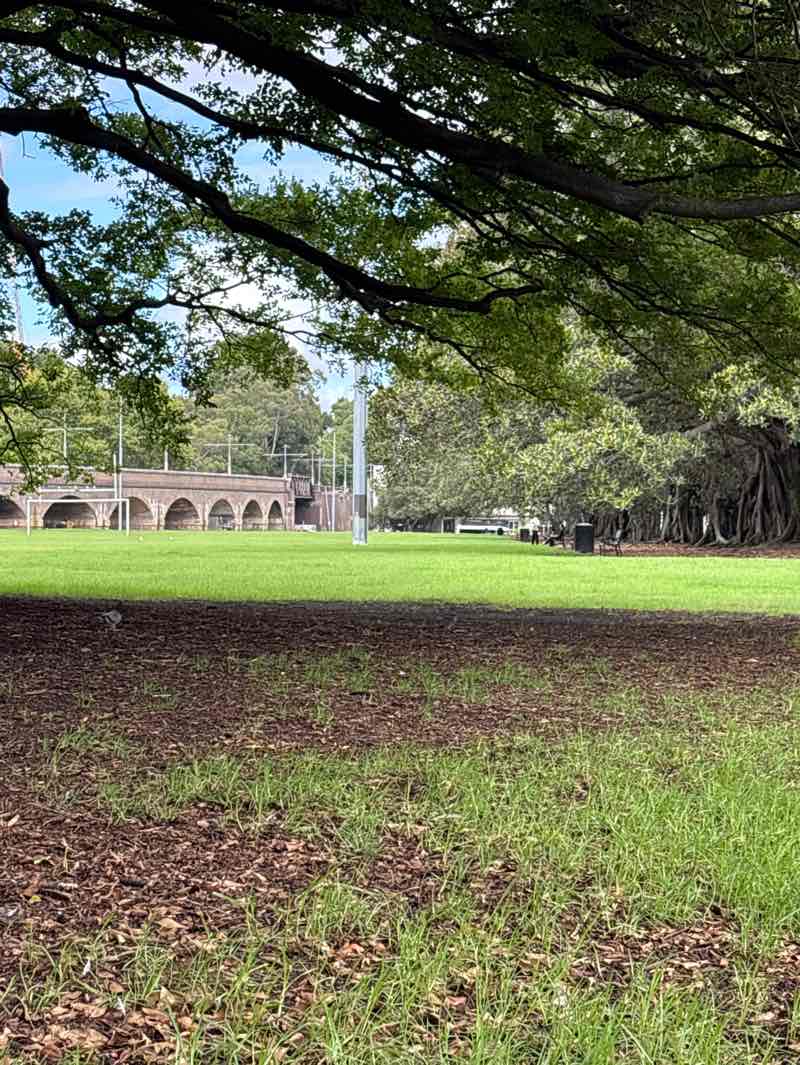 walking near me in Wentworth Park in autumn
