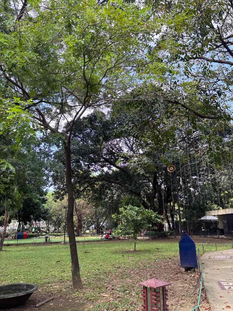 walking near me in Valenzuela Family Park in autumn