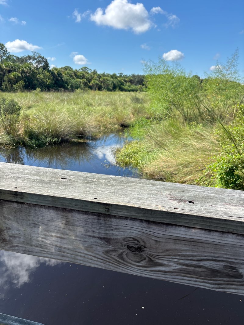 walking near me in Canaveral Marshes Conservation Area in autumn