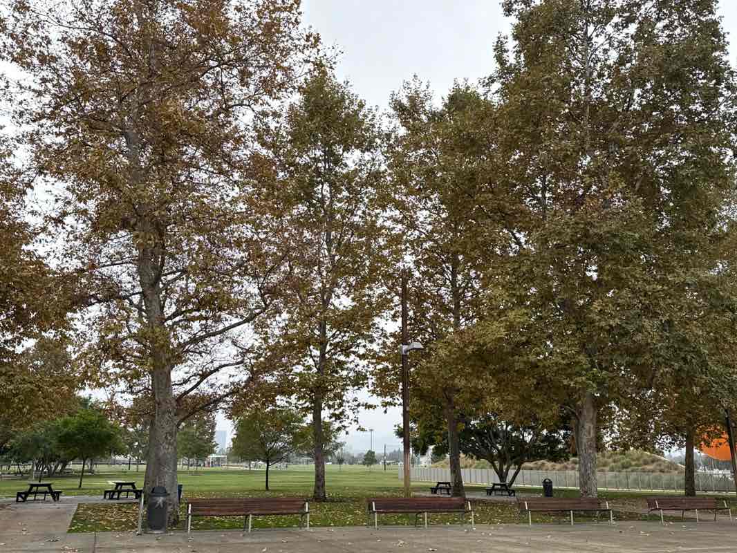 walking near me in Orange County Great Park in autumn