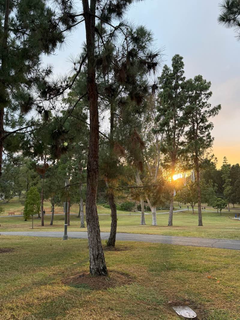 walking near me in Aldrich Park in autumn