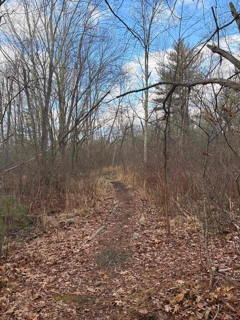 walking near me in Guggins Brook Conservation Land in autumn